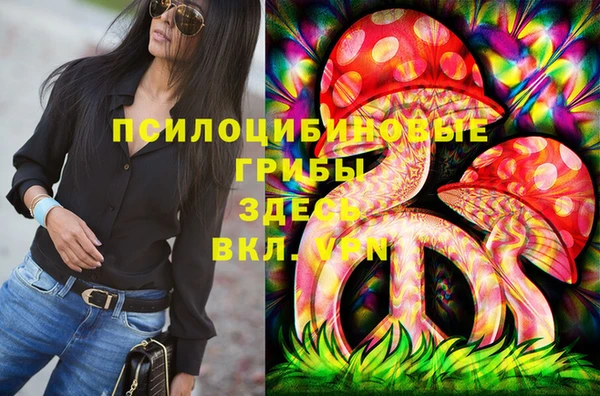 гашишное масло Заводоуковск