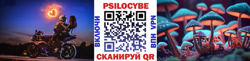 Купить где  Духовщина  Галлюциногенные грибы Psilocybe 